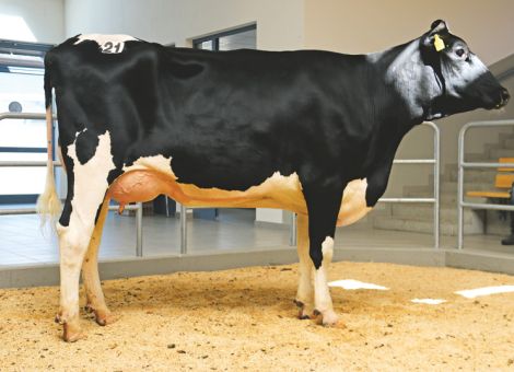 Kleiner Auftrieb bei deutlicher Preisspitze