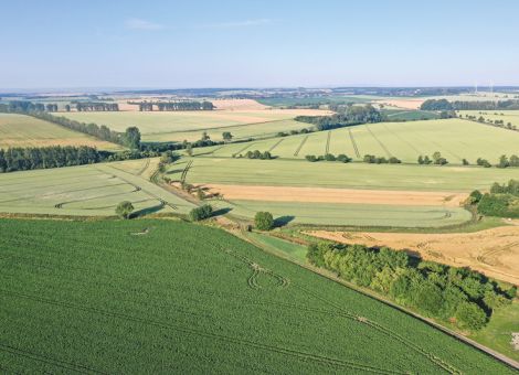 Studie zu Konservierender Landwirtschaft