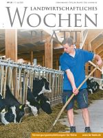 Ausgabe 29/2025