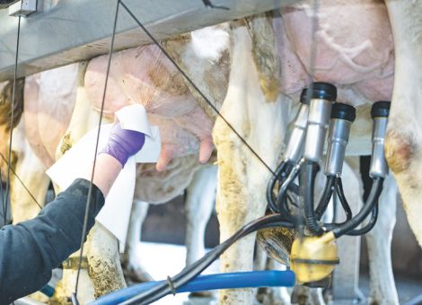 Verschwendung im Betrieb erkennen und vermeiden