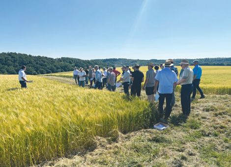 Landwirte besichtigen Braugerste in der Vulkaneifel