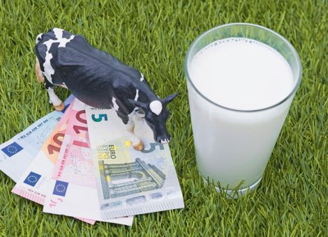 2024 bringt wieder hohe Milchpreise