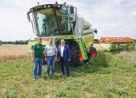 Trockenheit führt zu frühem Erntebeginn