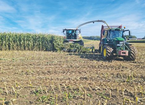 Maissilagebereitung strukturiert angehen