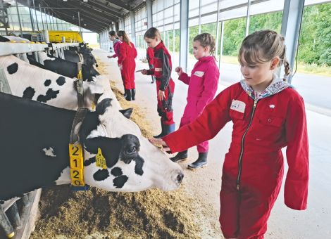 Abenteuer auf dem Bauernhof