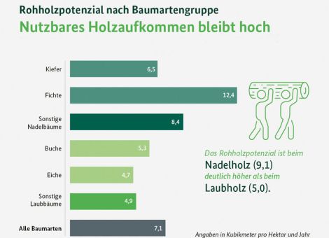 Ein Blick in die Zukunft – Rohholzaufkommen bis 2062