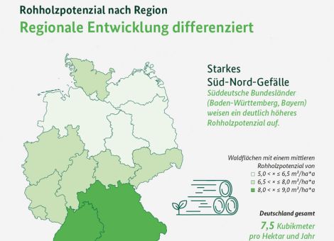 Heimisches Holz bleibt Pfeiler für nachhaltiges Wachstum