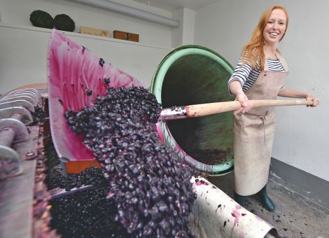 Studienergebnisse über die Situation von Frauen in der Landwirtschaft