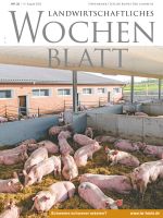 Ausgabe 33/2025