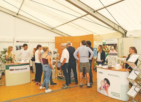 Düsser Schwein und Huhn findet am 3. September statt