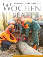 Ausgabe 34/2025
