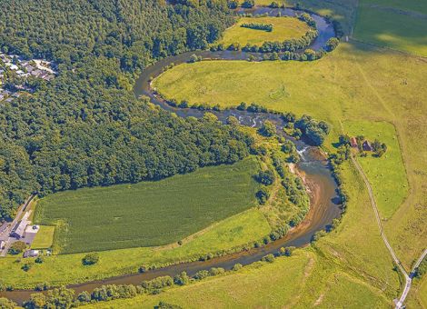 Naturwiederherstellungsgesetz: Verbände fordern mehr Beteiligung