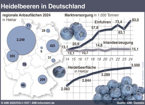 Heidelbeerernte blieb stabil