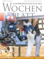 Ausgabe 36/2025