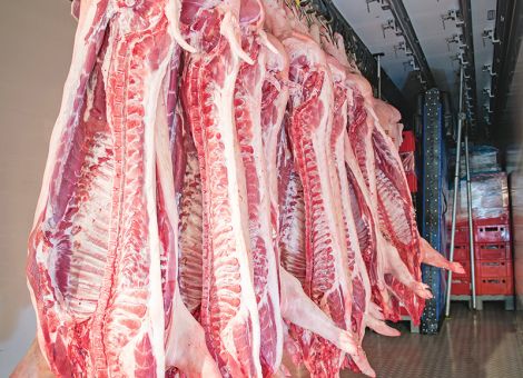 EU-Schlachtschweinemarkt: weiter alles beim Alten