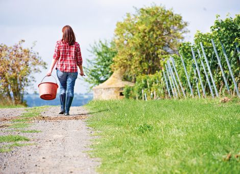 Rückgrat der Branche – wie lange noch?
