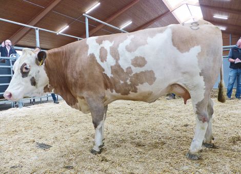 Auktionsangebot in Alsfeld geräumt