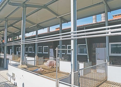 Praxisgerechte Lösung mit mehr Platz für die Sauen