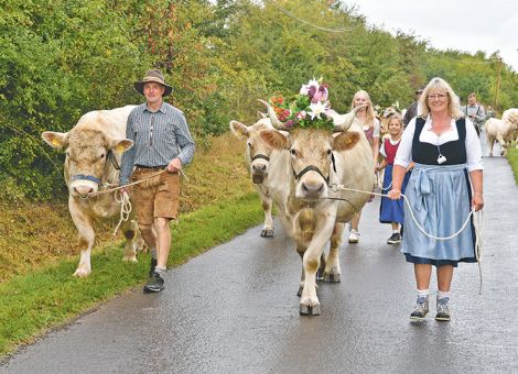 Weideabtrieb in Nieder-Bessingen 