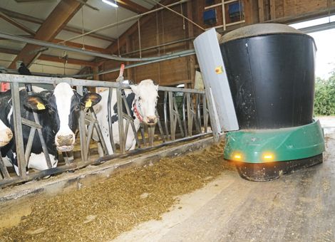 Roboter als fleißige Helfer im Kuhstall