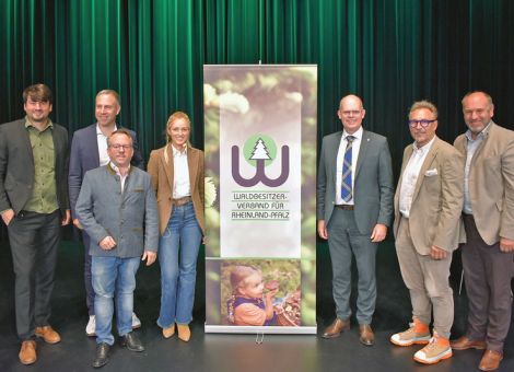 Wohin gehst Du, Waldpolitik? Landtagswahl ist eine Antwort