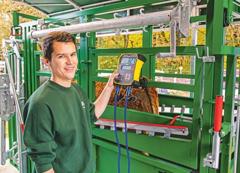 Fang- und Behandlungsstand für Rinder von Patura – A6000 besonders für kleinere Betriebe geeignet, © Werkfoto Fang- und Behandlungsstand für Rinder von Patura