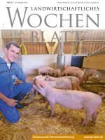Ausgabe 42/2025