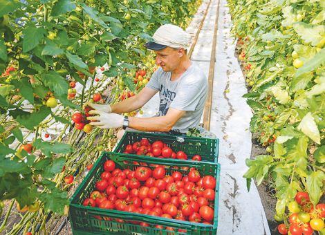 „Fehlende Berufsmäßigkeit“ in Novellierung klären – Arbeitgeber zur Regelung kurzfristiger Beschäftigung, © imago/Rupert Oberhäuser „Fehlende Berufsmäßigkeit“ in Novellierung klären