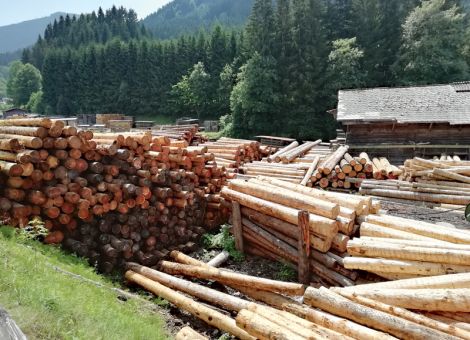 Jetzt ist der richtige Zeitpunkt zum Einschlag – Holzpreise steigen trotz fehlender Baukonjunktur, © Setzepfand Jetzt ist der richtige Zeitpunkt zum Einschlag