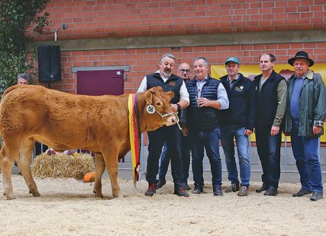 Hervorragende Nationalschau für Limousins und Pinzgauer – Bundesschau in Alsfeld bestens beschickt, © Heinrich Schulte Hervorragende Nationalschau für Limousins und Pinzgauer