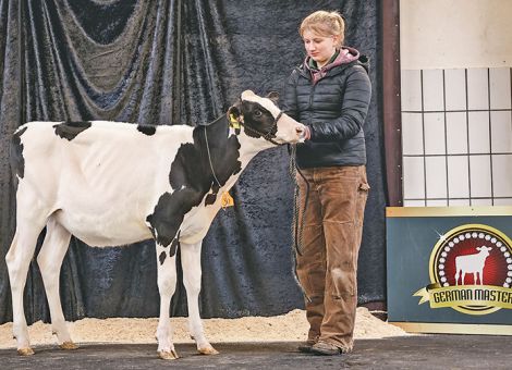 Erfolgreicher German Masters Sale – Höchstpreis von 27 000 Euro in Fließem, © Grebener Erfolgreicher German Masters Sale