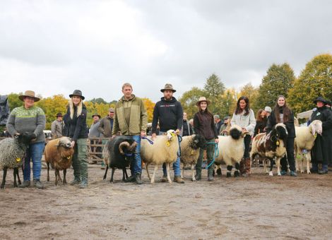 Rassevielfalt und Qualität begeistern Publikum in Mayen