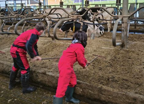 Abenteuer auf dem Bauernhof – Viel Spaß und Einblick beim Herbstcamp, © Landjugend RP Abenteuer auf dem Bauernhof