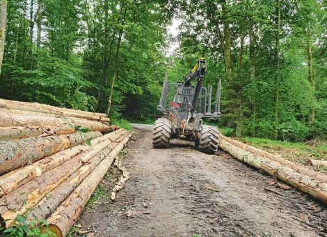 Doch keine Verschiebung der EUDR, aber Vereinfachungen – Diese gehen aber laut DBV nicht weit genug, © imago/Eibner Doch keine Verschiebung der EUDR, aber Vereinfachungen