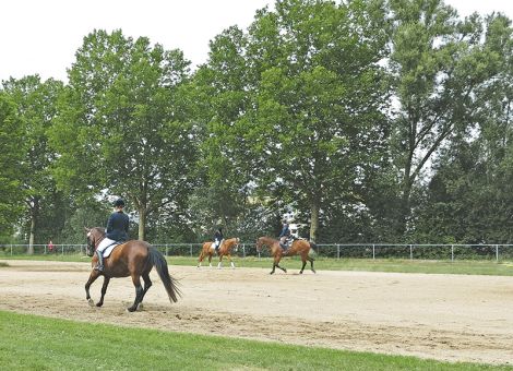 Reitboden – maßgeschneidert oder Allroundtalent?
