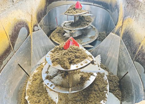 Gute Mischrationen für Milchkühe