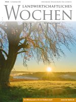 Ausgabe 46/2025