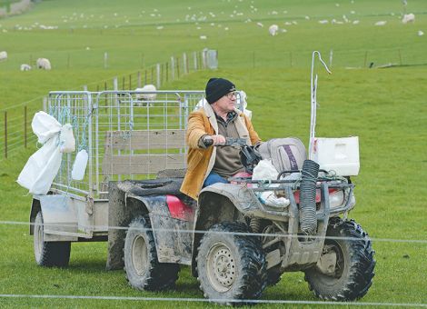 Die geländegängigen Alleskönner