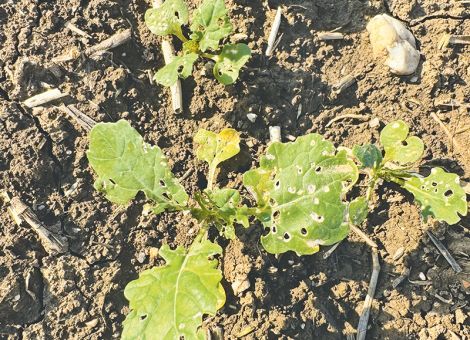 Die Strategie muss angepasst werden