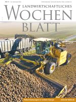 Ausgabe 47/2025