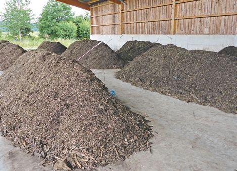 Kleegras optimal verwerten