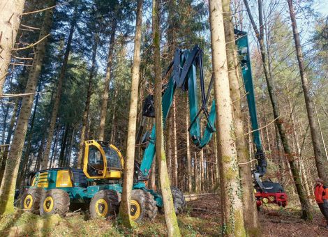 Vollmechanische Holzernte bei Rückegassen von 40 m