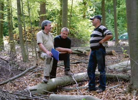 Brennholzwerber – der Einsatz braucht klare Regeln