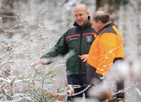 Umbau zu klimastabilen Wäldern weiter vorantreiben