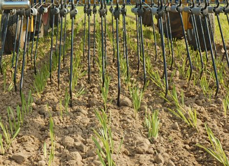 Standortangepasst und variabel striegeln