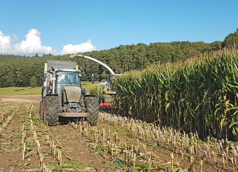 Energie- und stärkereich, aber wieder zu trocken!