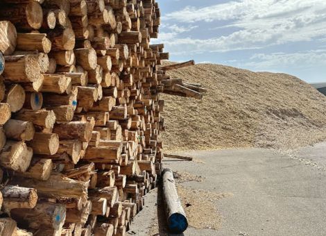 Novelle der Biomasseverordnung