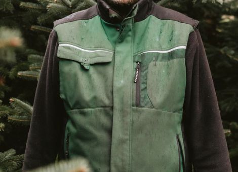 2025 – ein optimales Weihnachtsbaumjahr