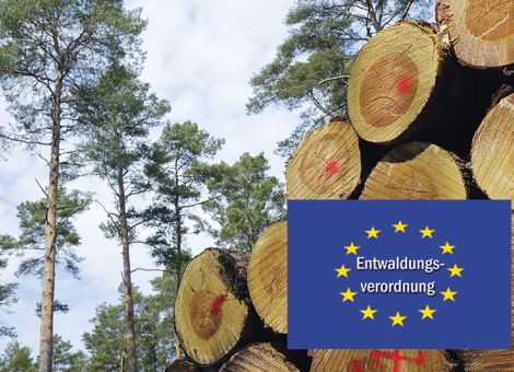 Umsetzung der EUDR wird um ein Jahr verschoben