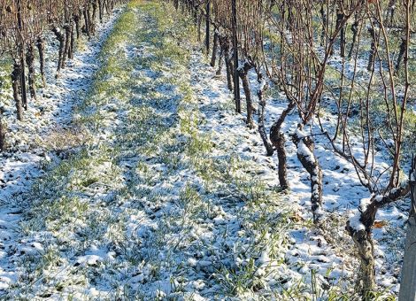 Maßnahmen gegen das Überangebot